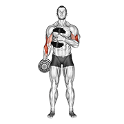 dumbbell cross body hammer curl v. 2 egzersiz gösterimi