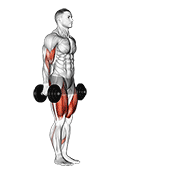 dumbbell lunge with bicep curl dimostrazione dell’esercizio