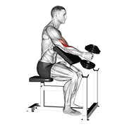 dumbbell one arm hammer preacher curl exercise demonstration