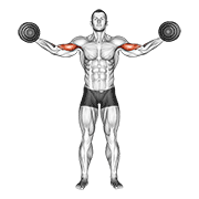dumbbell high curl egzersiz gösterimi