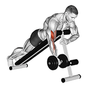 dumbbell one arm prone curl dimostrazione dell’esercizio