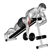 dumbbell one arm prone hammer curl dimostrazione dell’esercizio