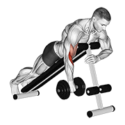 dumbbell one arm reverse spider curl exercise demonstration