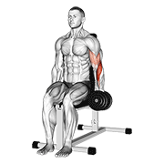 dumbbell one arm seated hammer curl dimostrazione dell’esercizio