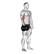 dumbbell one arm standing curl exercise demonstration