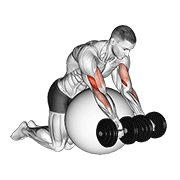 dumbbell preacher curl over exercise ball exercise demonstration