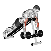 dumbbell prone incline hammer curl dimostrazione dell’esercizio