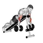 dumbbell reverse spider curl dimostrazione dell’esercizio