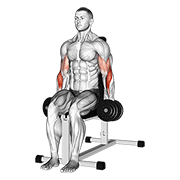 dumbbell seated hammer curl 动作演示