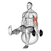 dumbbell seated one arm bicep curl on exercise ball with leg raised exercise demonstration