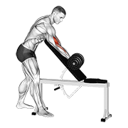 dumbbell standing one arm curl over incline bench 动作演示