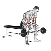 ez bar seated close grip concentration curl dimostrazione dell’esercizio