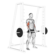 smith machine bicep curl exercise demonstration