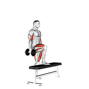 dumbbell step up single leg balance with bicep curl 动作演示