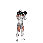 dumbbell push press 动作演示