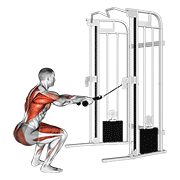 cable squat row (with rope attachment) dimostrazione dell’esercizio