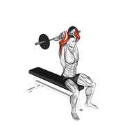 barbell seated close grip behind neck triceps extension exercise demonstration