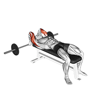 barbell lying back of the head tricep extension exercise demonstration
