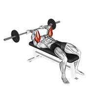 barbell reverse grip skullcrusher egzersiz gösterimi
