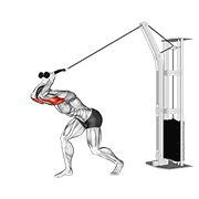 cable high pulley overhead tricep extension egzersiz gösterimi