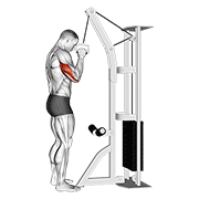 cable one arm tricep pushdown dimostrazione dell’esercizio