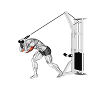 cable rope high pulley overhead tricep extension 动作演示