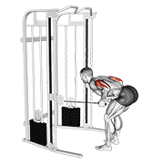 cable two arm tricep kickback dimostrazione dell’esercizio