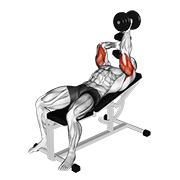 dumbbell lying alternate extension dimostrazione dell’esercizio