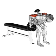 dumbbell seated bent over alternate kickback exercise demonstration