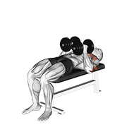 dumbbell close grip press 动作演示