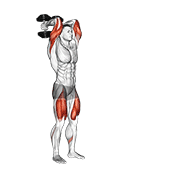 dumbbell forward lunge triceps extension dimostrazione dell’esercizio