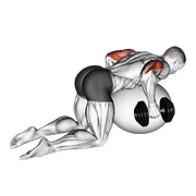 dumbbell kickbacks on exercise ball exercise demonstration