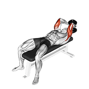 dumbbell lying single extension egzersiz gösterimi