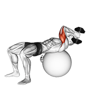 dumbbell one arm french press on exercise ball egzersiz gösterimi