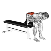 dumbbell seated bent over triceps extension dimostrazione dell’esercizio