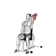 dumbbell seated reverse grip one arm overhead tricep extension dimostrazione dell’esercizio