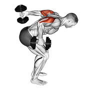 dumbbell standing alternating tricep kickback 动作演示