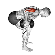 dumbbell standing bent over one arm triceps extension dimostrazione dell’esercizio