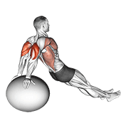 exercise ball dip 动作演示