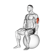exercise ball seated triceps stretch exercise demonstration
