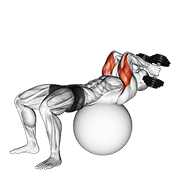 exercise ball supine triceps extension dimostrazione dell’esercizio