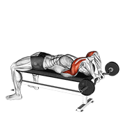 ez bar lying close grip triceps extension behind head exercise demonstration