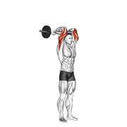 ez bar standing french press exercise demonstration