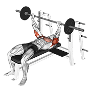 barbell pin presses exercise demonstration