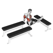 weighted three bench dips dimostrazione dell’esercizio