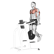 weighted tricep dips exercise demonstration
