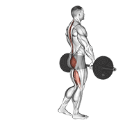 barbell single leg deadlift exercise demonstration