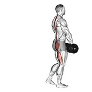dumbbell single leg deadlift dimostrazione dell’esercizio