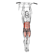 hanging oblique knee raise egzersiz gösterimi