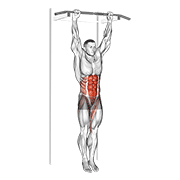hanging leg hip raise exercise demonstration